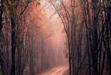 旺财28-法兰克福迎欧超杯关键赛，窗口期单刀错失，更衣室稳定，球队文化再被提及(法甲巴黎40克莱蒙姆巴佩造三球)