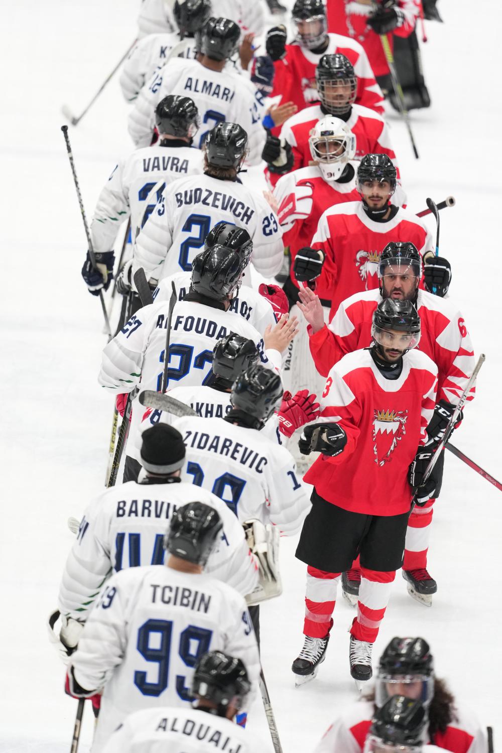 旺财28- 冰球犯规动作有哪些 