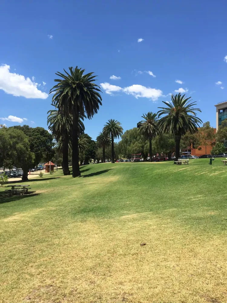 旺财28娱乐- 澳大利亚选手 